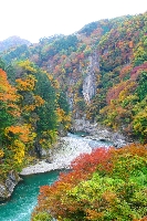 (=^E^=)N͍gt悤ł=^_^=